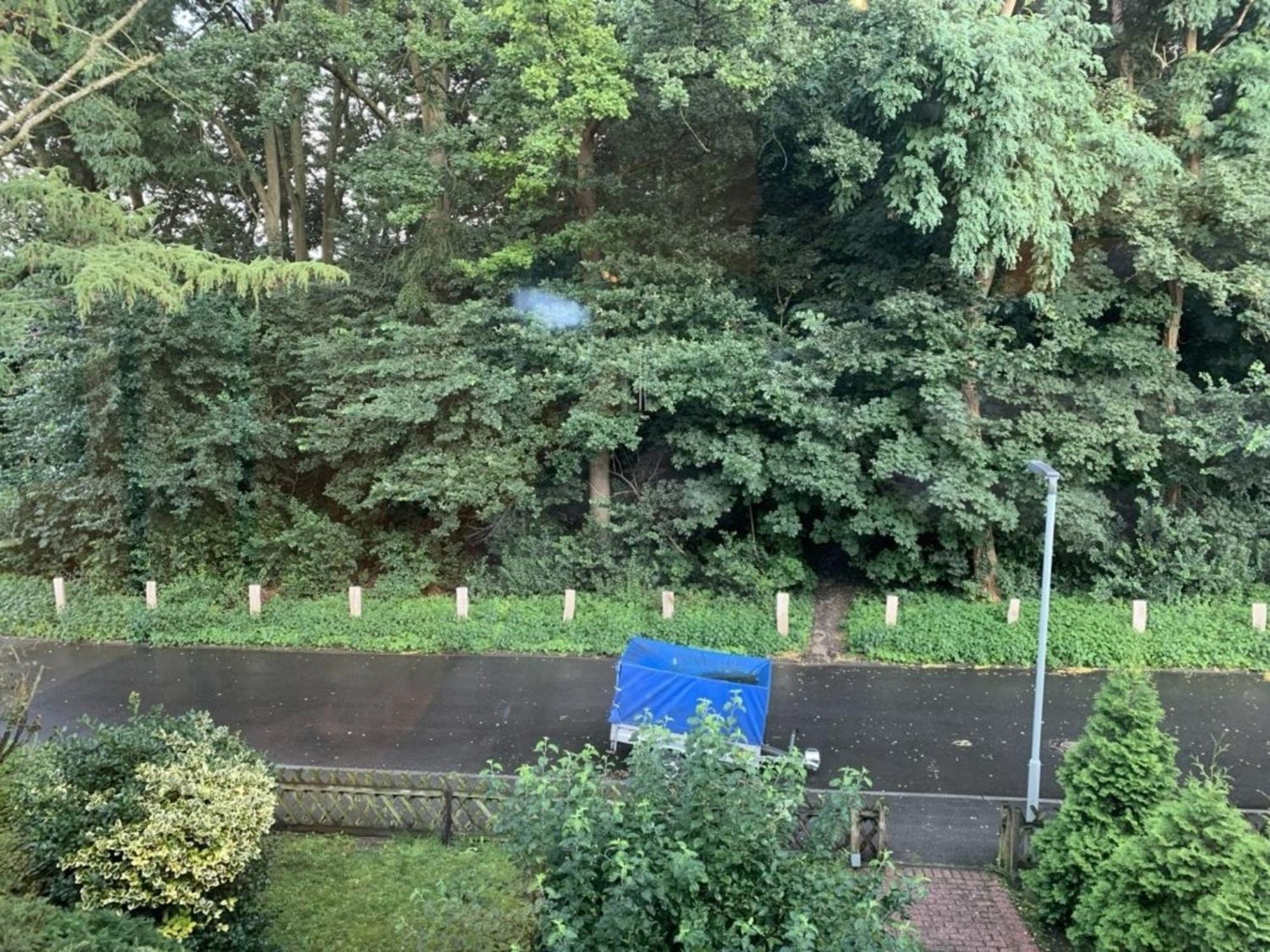 Am Nordglacis فيسيل المظهر الخارجي الصورة